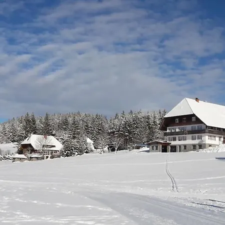 Haus Lucia, Mit Pool Und Sauna, Appartment 4 Schoenwald im Schwarzwald Exterior photo
