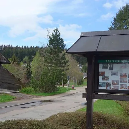 Haus Lucia, Mit Pool Und Sauna, Appartment 4 Schoenwald im Schwarzwald Exterior photo
