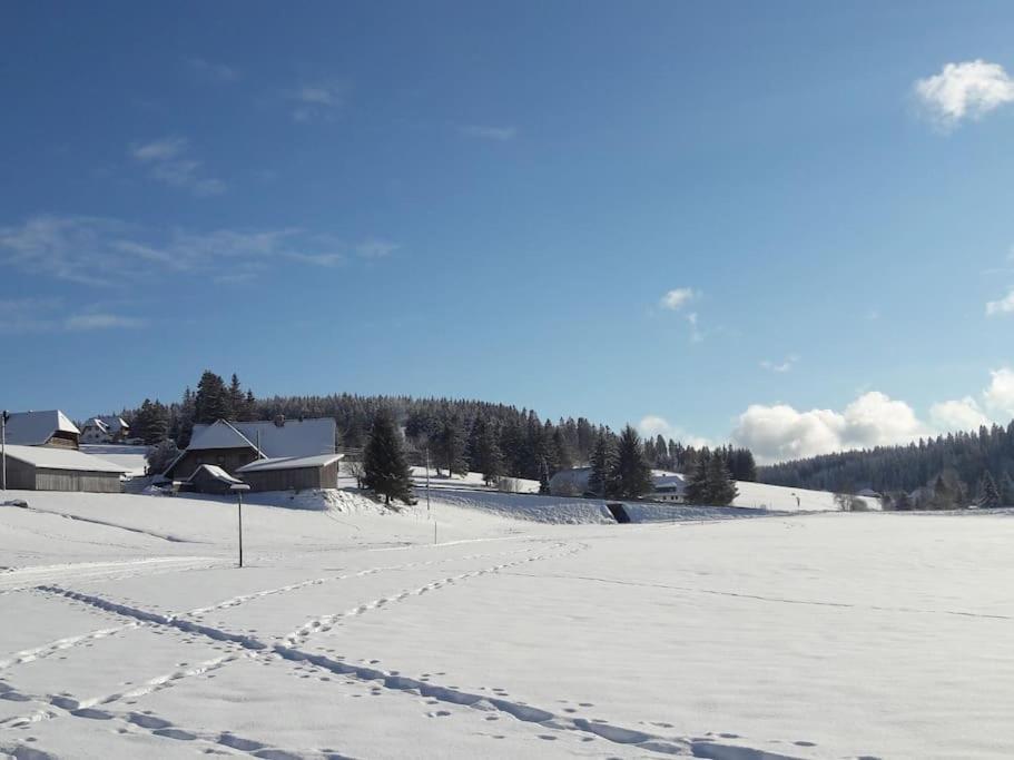 Haus Lucia, Mit Pool Und Sauna, 4 Apartment *